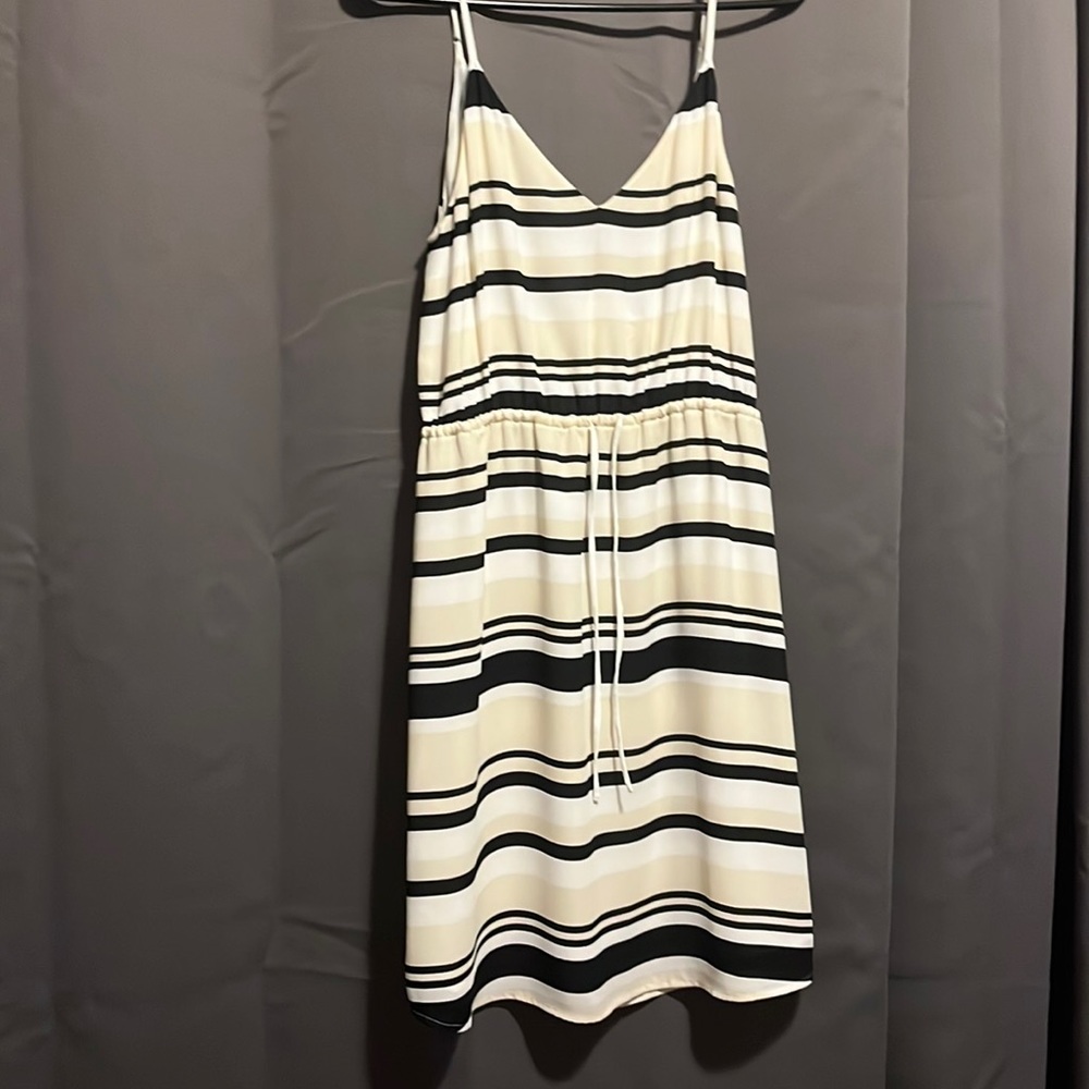 Aritzia Babaton dress